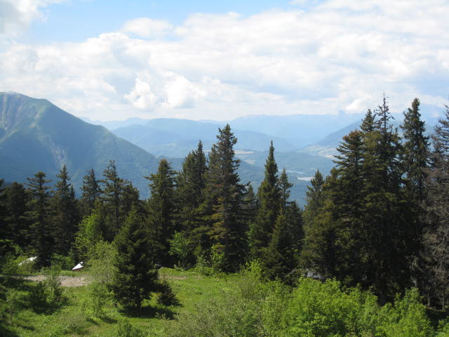 Vue