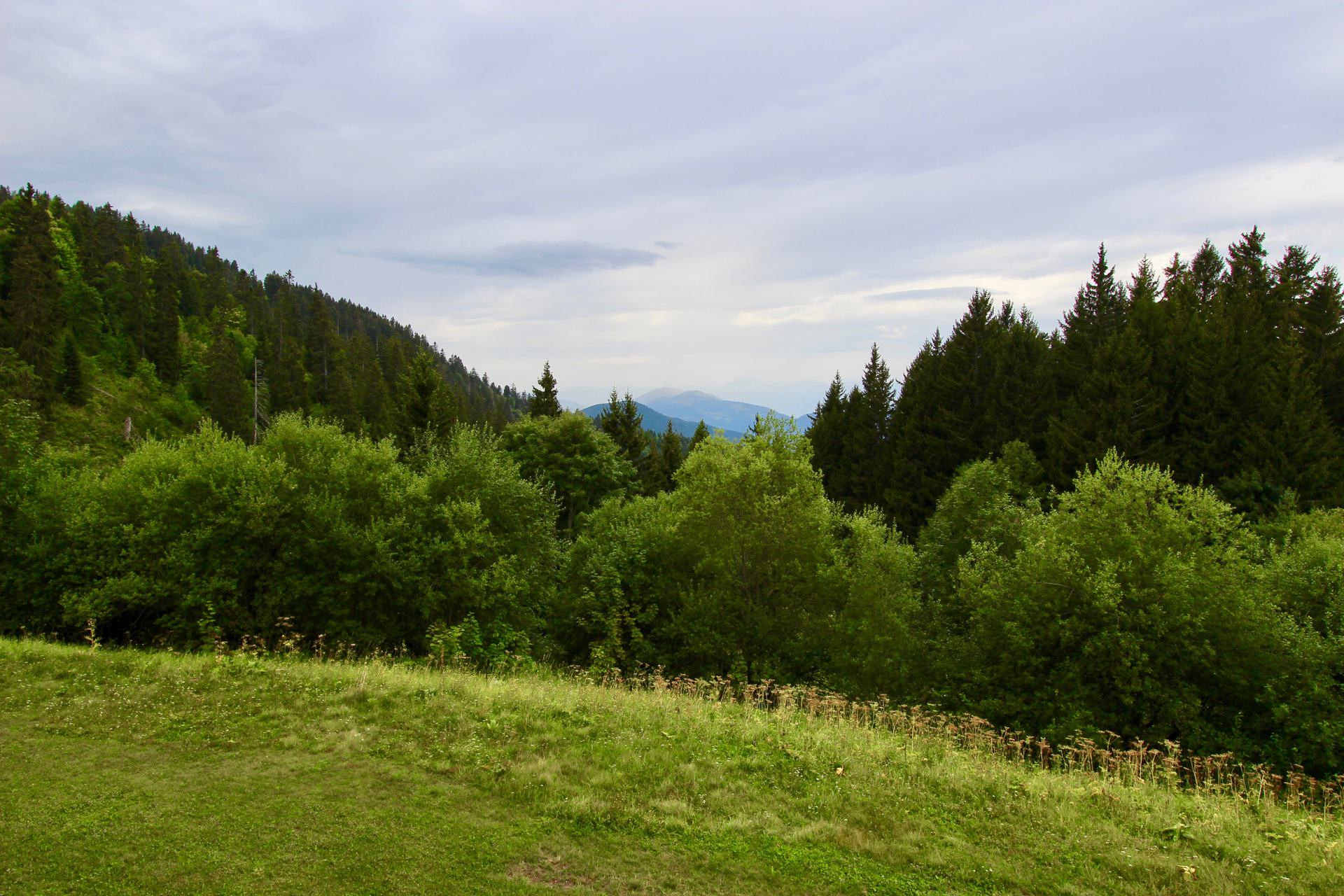 Vue été Vue été