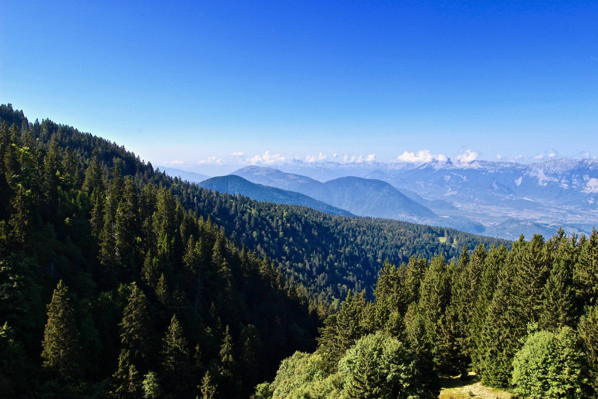Vue été Vue été