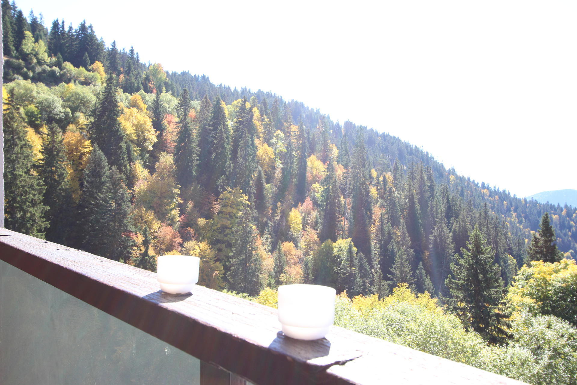 _lv_images__lot_0016190239_06_5700378 _lv_images__lot_0016190239_06_5700378