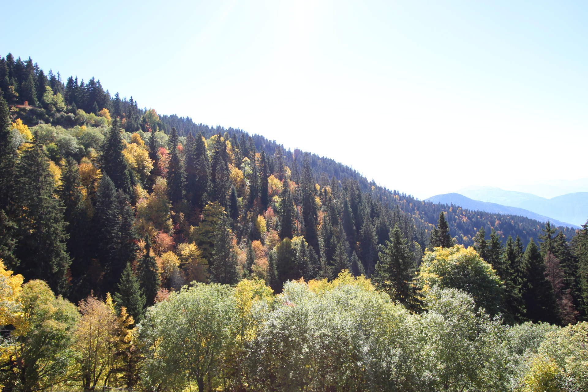 _lv_images__lot_0016190239_08_5880983