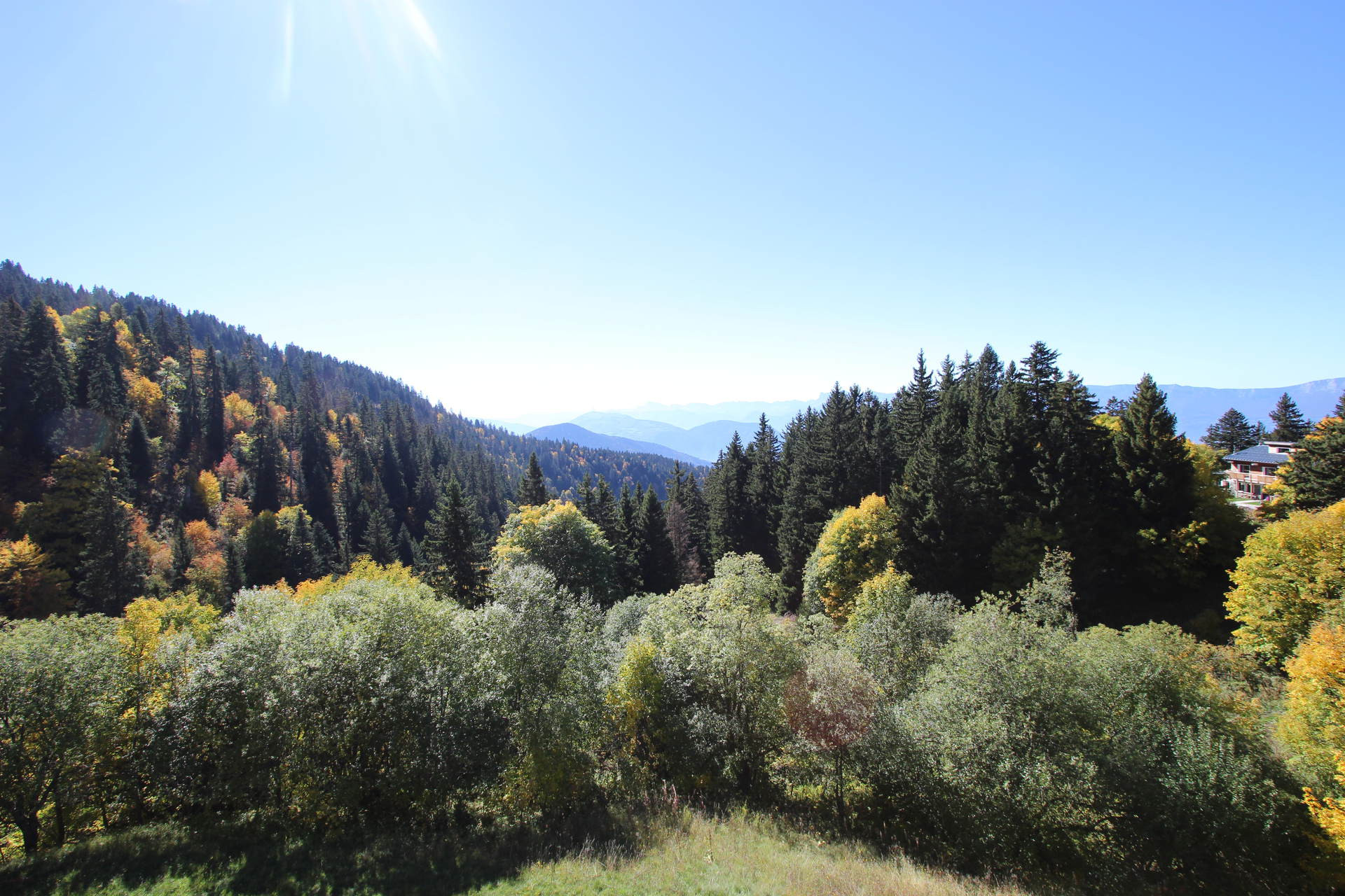 _lv_images__lot_0016190239_10_5703520 _lv_images__lot_0016190239_10_5703520