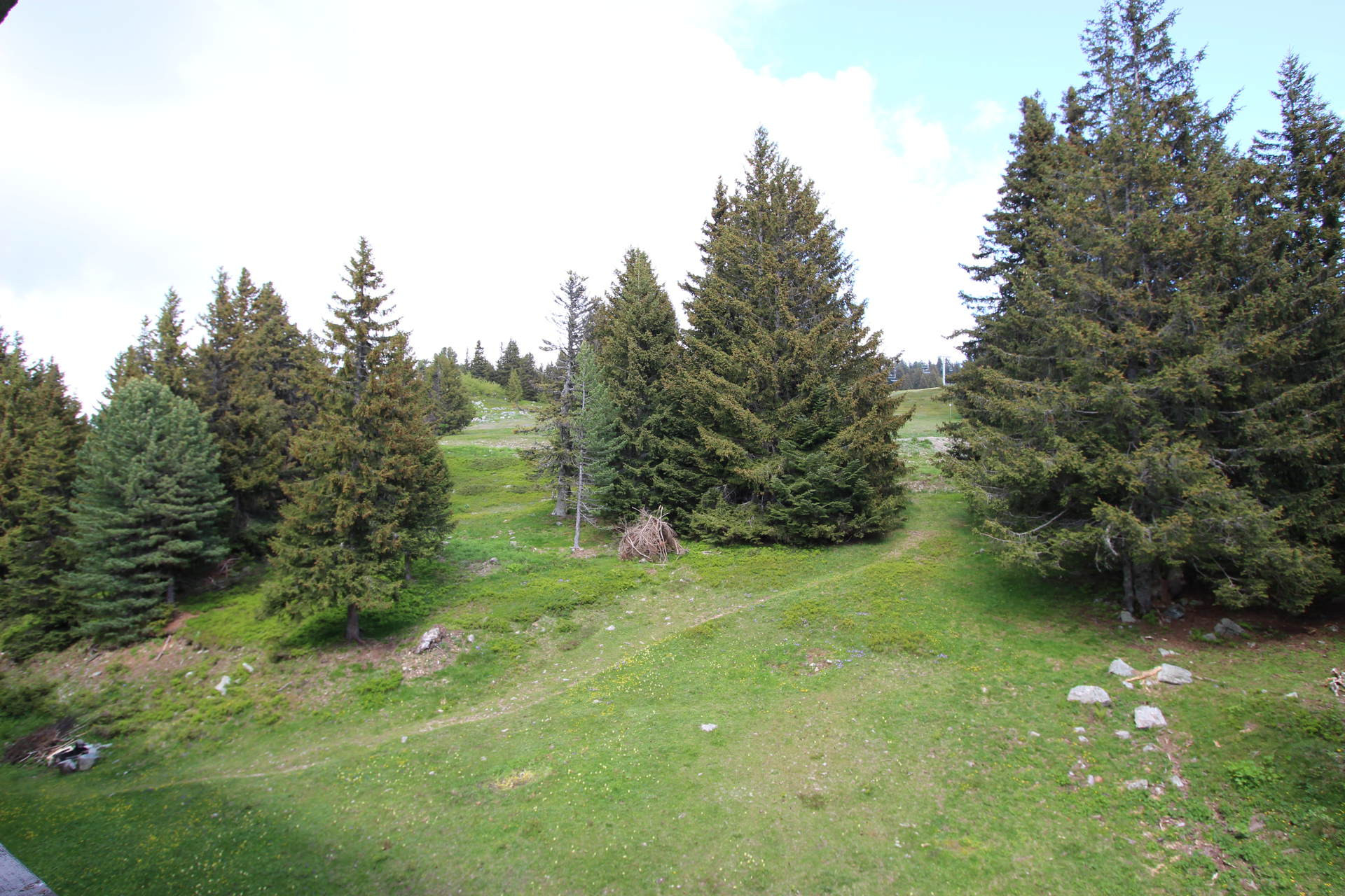 Vue été