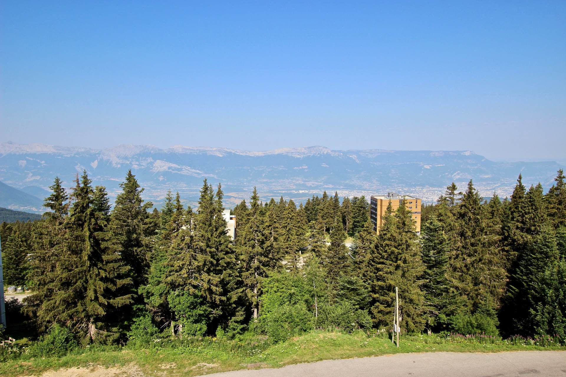 _lv_images__lot_0016190336_08_6016312 _lv_images__lot_0016190336_08_6016312