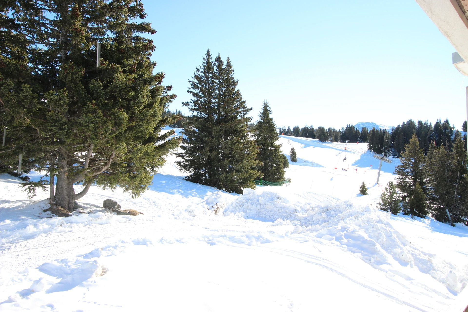 _lv_images__lot_0016190370_08_5683912 _lv_images__lot_0016190370_08_5683912