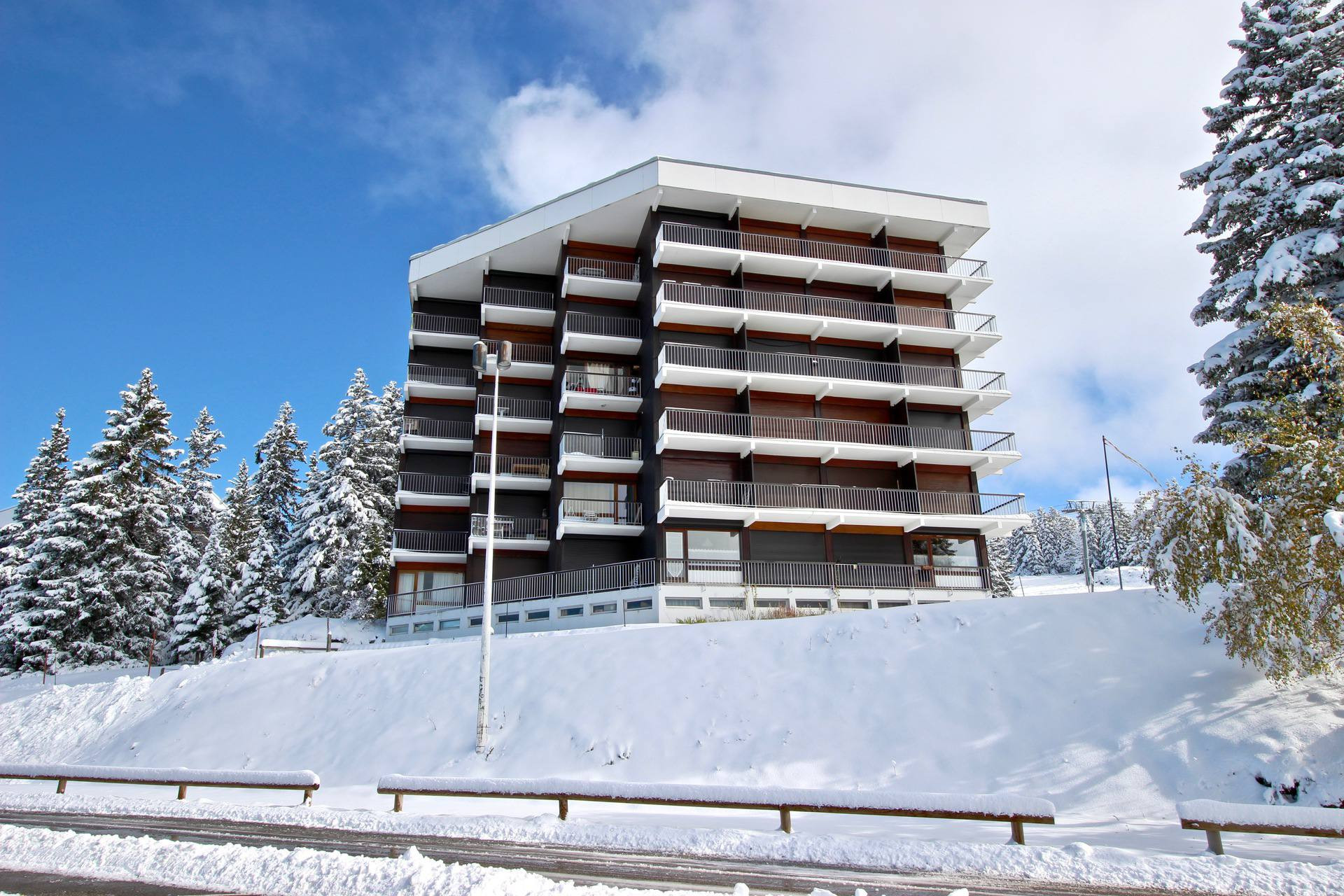 _lv_images__lot_0016190377_13_5683792 _lv_images__lot_0016190377_13_5683792