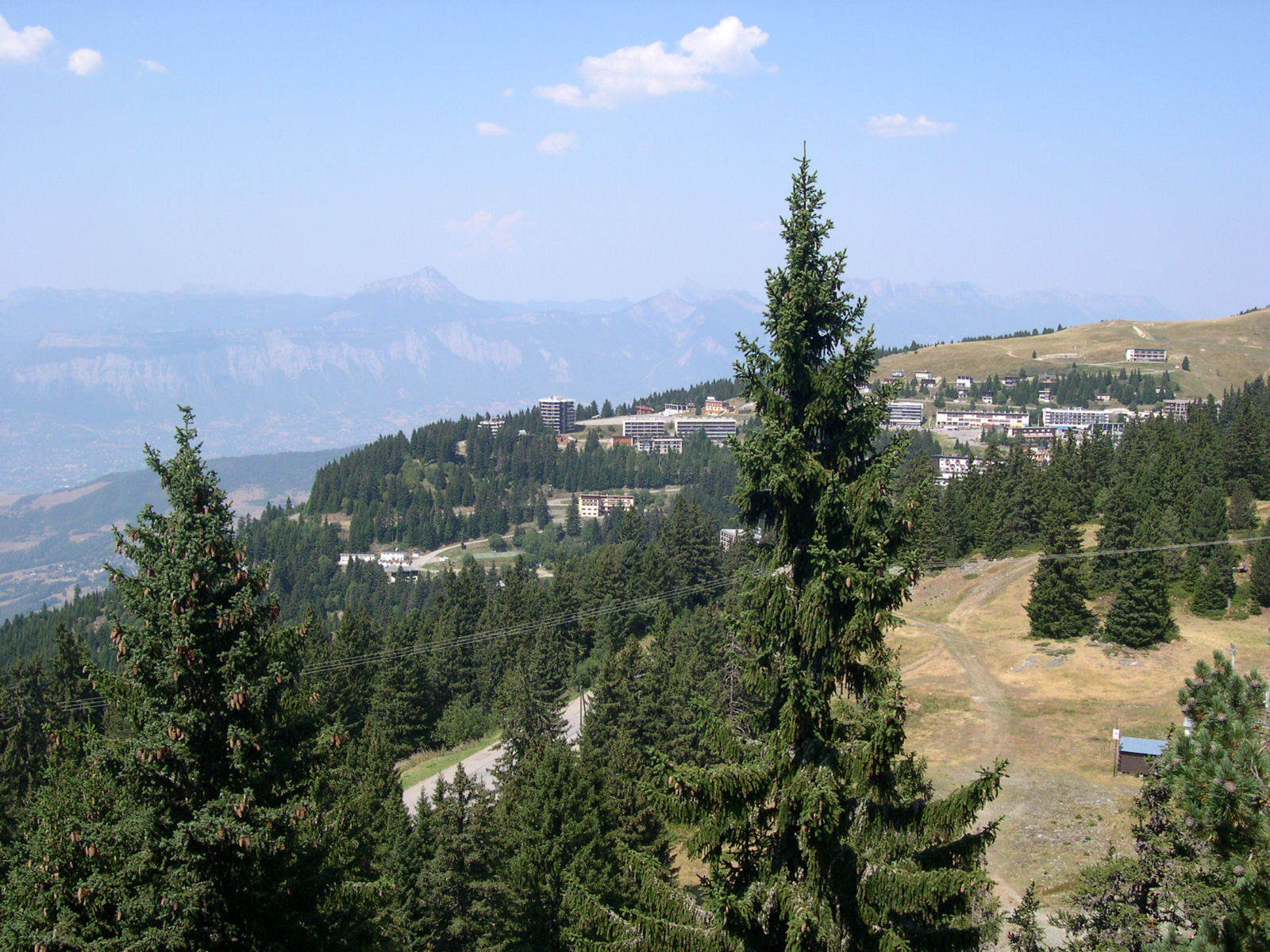 _lv_images__lot_0016190420_11_5993881 _lv_images__lot_0016190420_11_5993881