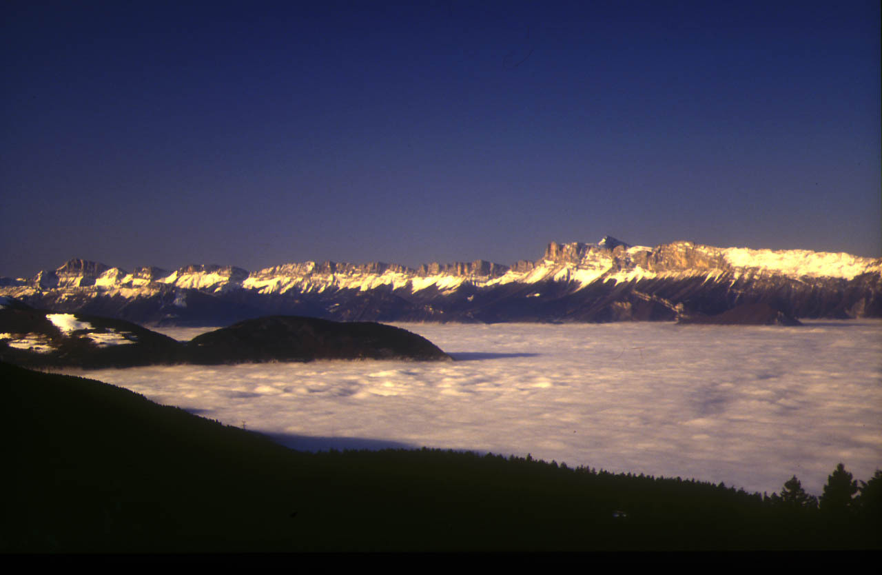 _lv_images__lot_0016190422_14_6378591