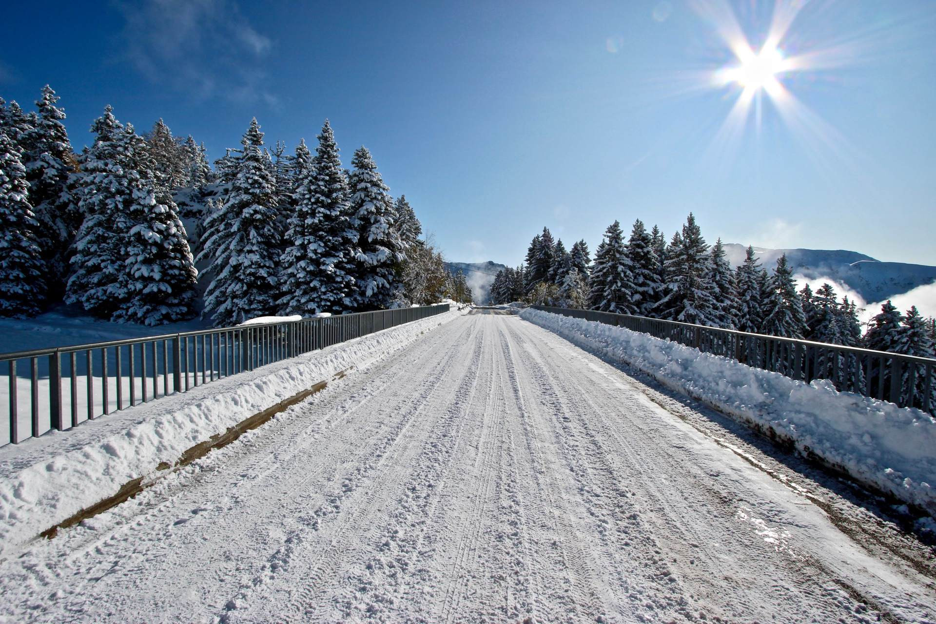 _lv_images__lot_0016190425_12_6377111