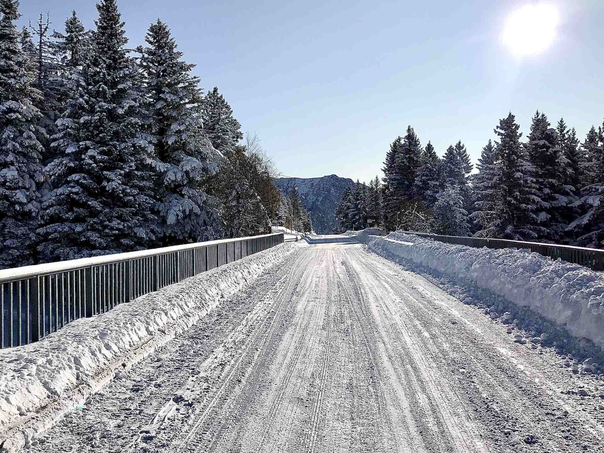 _lv_images__lot_0016190438_10_5880936