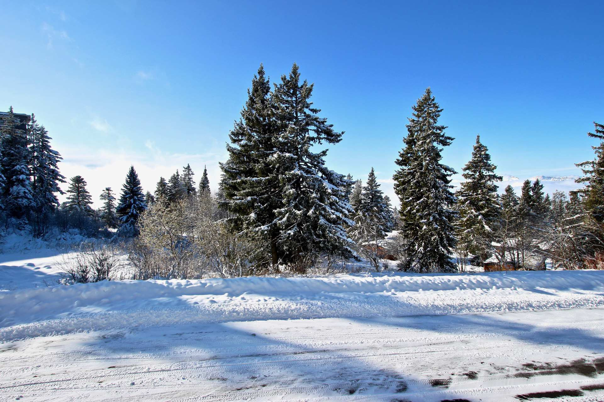 _lv_images__lot_0016190439_11_5675440