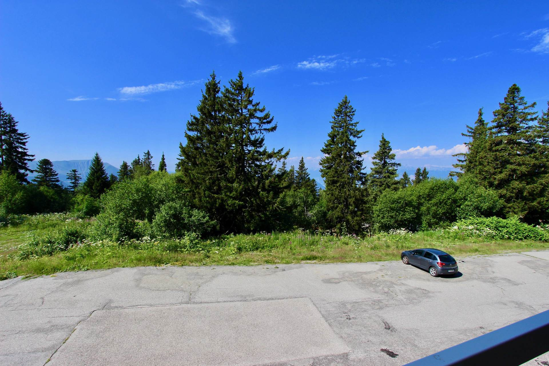 _lv_images__lot_0016190439_12_5684160 _lv_images__lot_0016190439_12_5684160