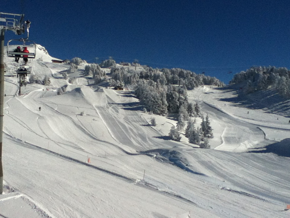 _lv_images__lot_0016190451_11_6013132 _lv_images__lot_0016190451_11_6013132