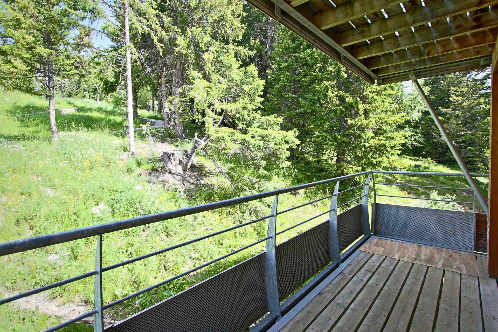 _lv_images__lot_0016190466_11_5674946 _lv_images__lot_0016190466_11_5674946