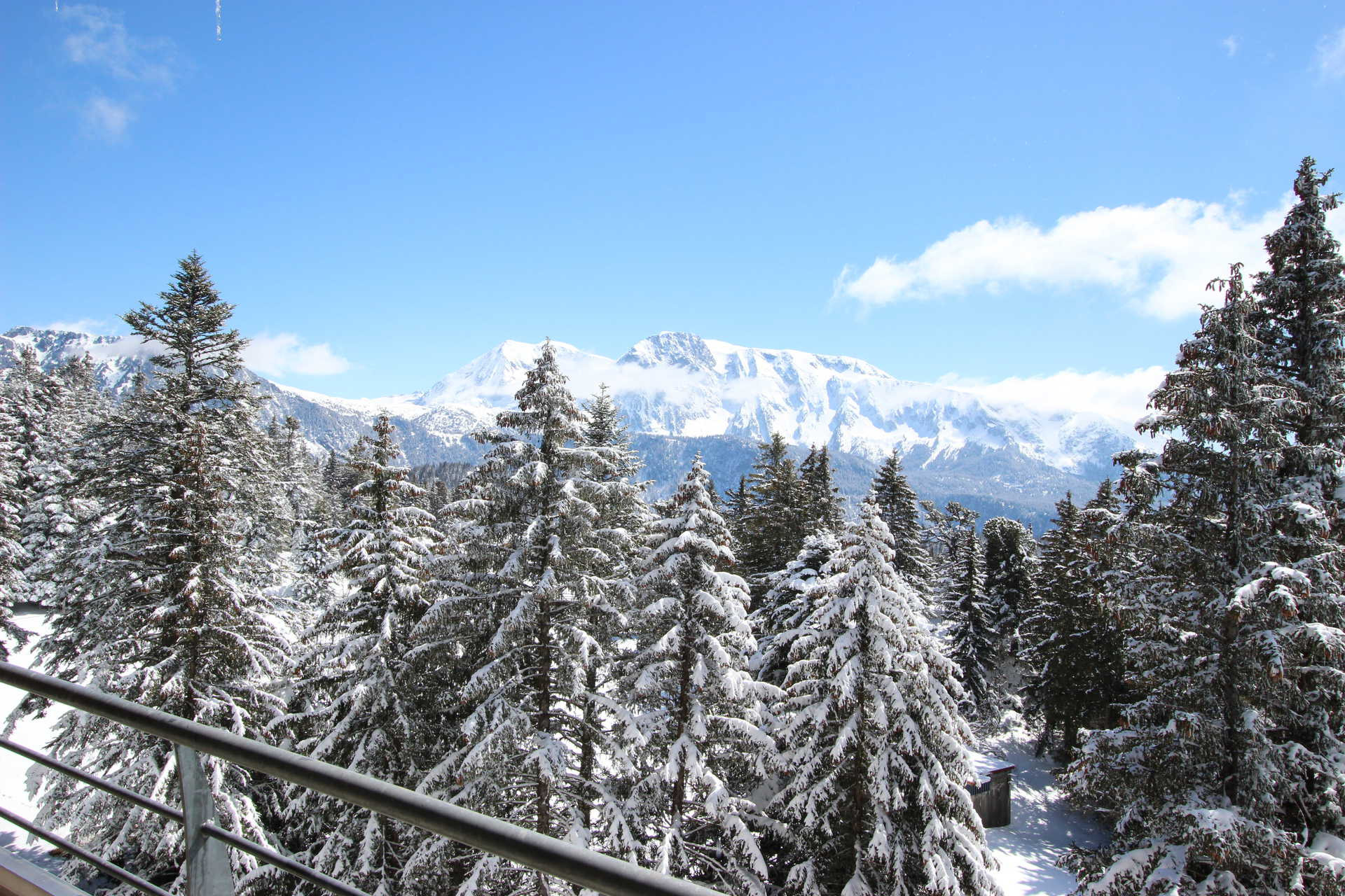 _lv_images__lot_0016190477_10_5882262 _lv_images__lot_0016190477_10_5882262