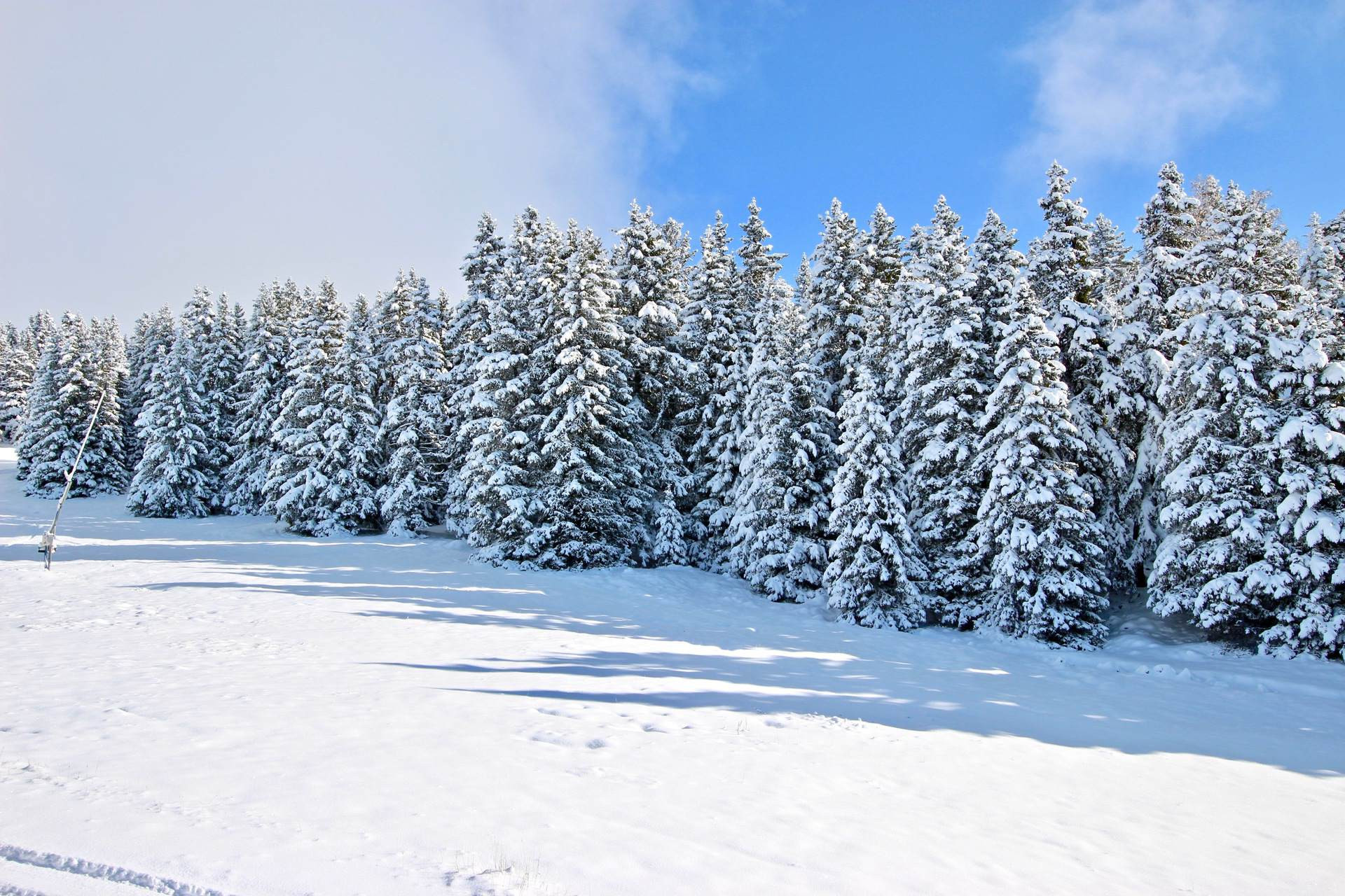 _lv_images__lot_0016190477_14_6378999