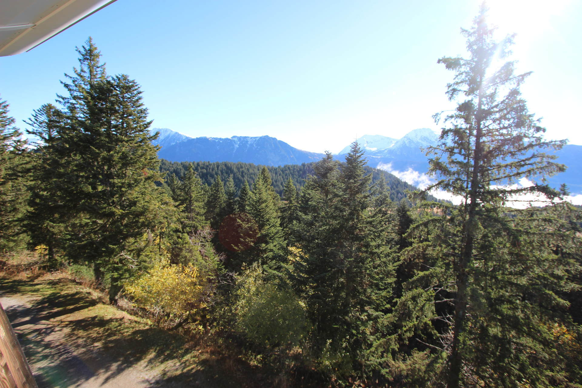 _lv_images__lot_0016190492_13_6061843 _lv_images__lot_0016190492_13_6061843