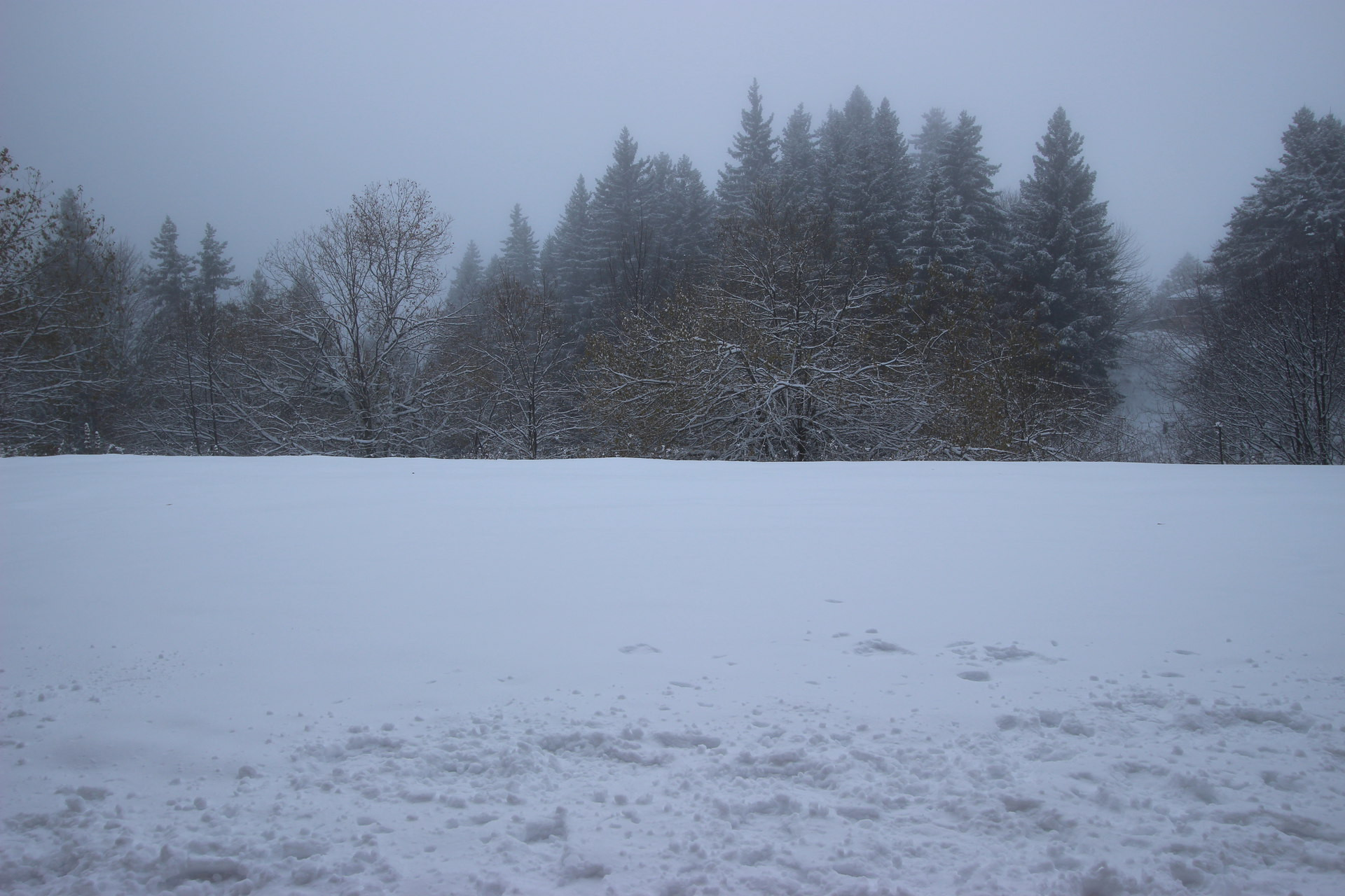 Vue hiver Vue hiver