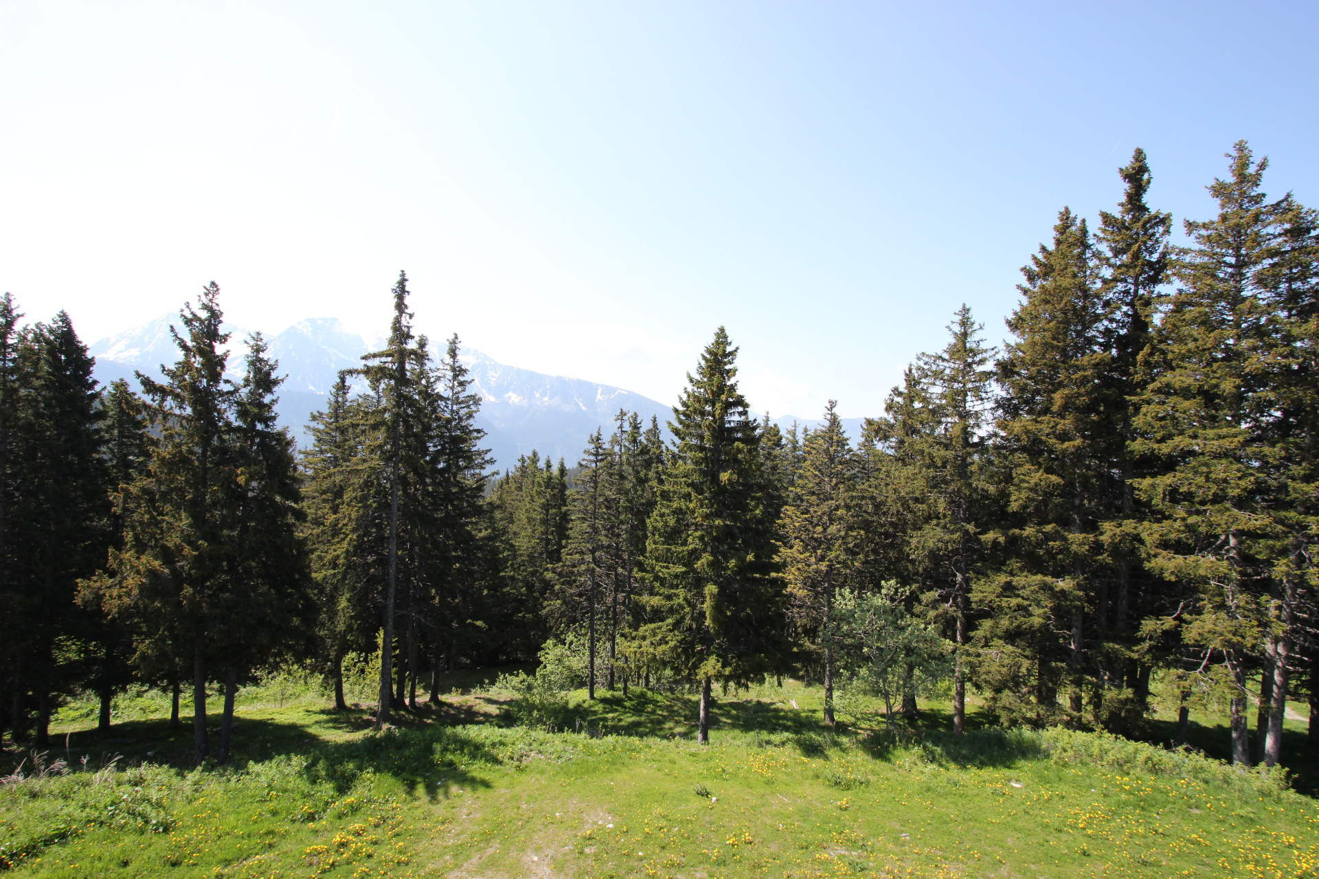 _lv_images__lot_0016190514_09_5882213 _lv_images__lot_0016190514_09_5882213