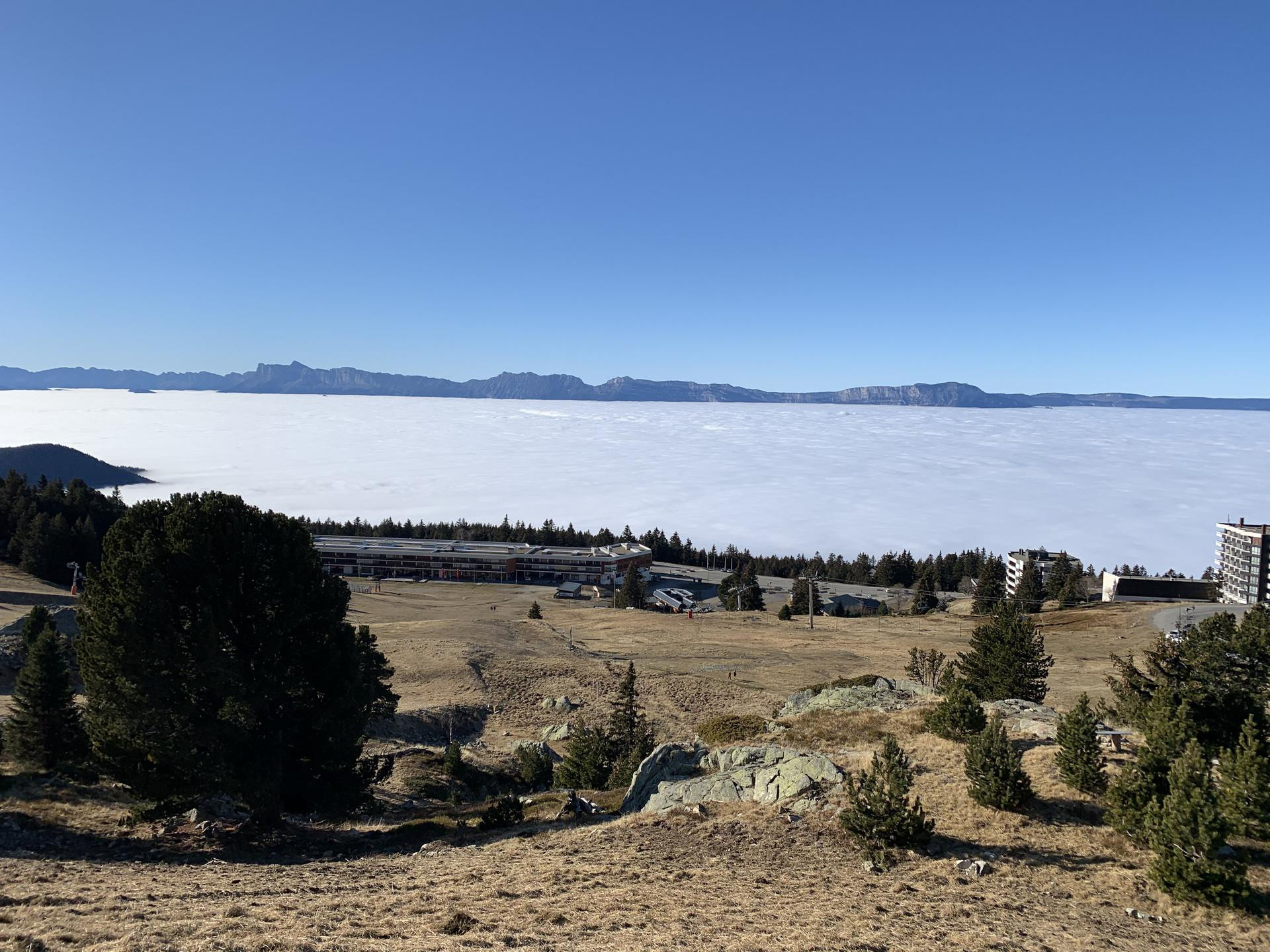 _lv_images__lot_0016190528_12_5872150