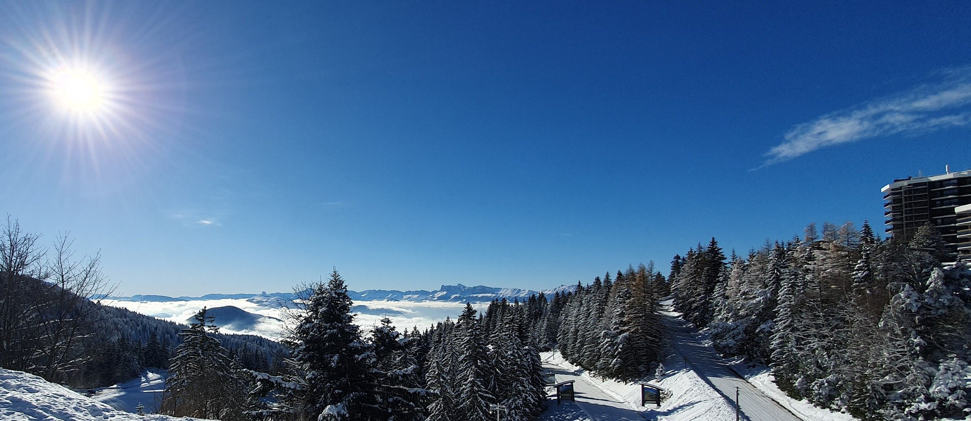 _lv_images__lot_0016190529_12_6408108 _lv_images__lot_0016190529_12_6408108