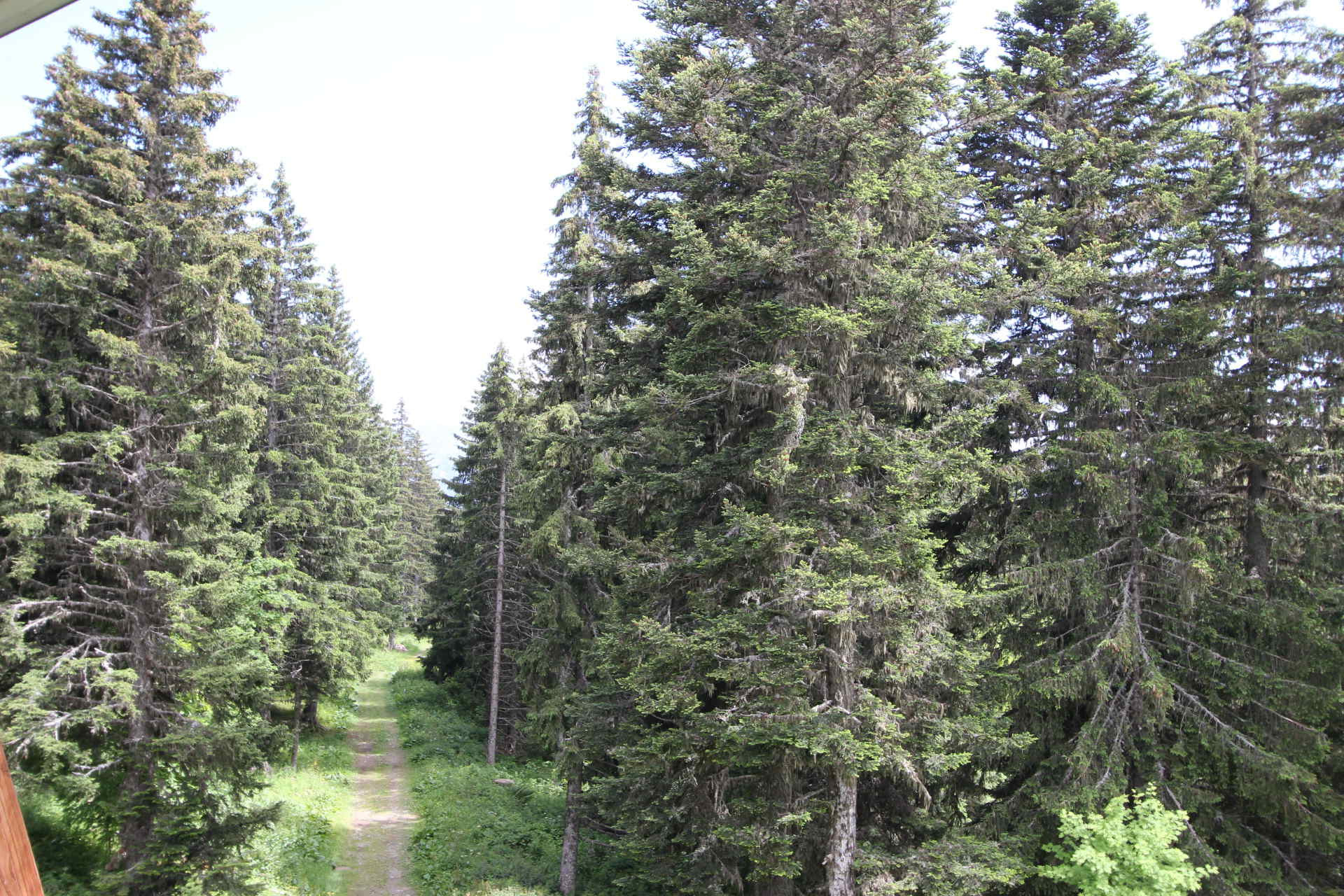 _lv_images__lot_0016190535_16_6080165