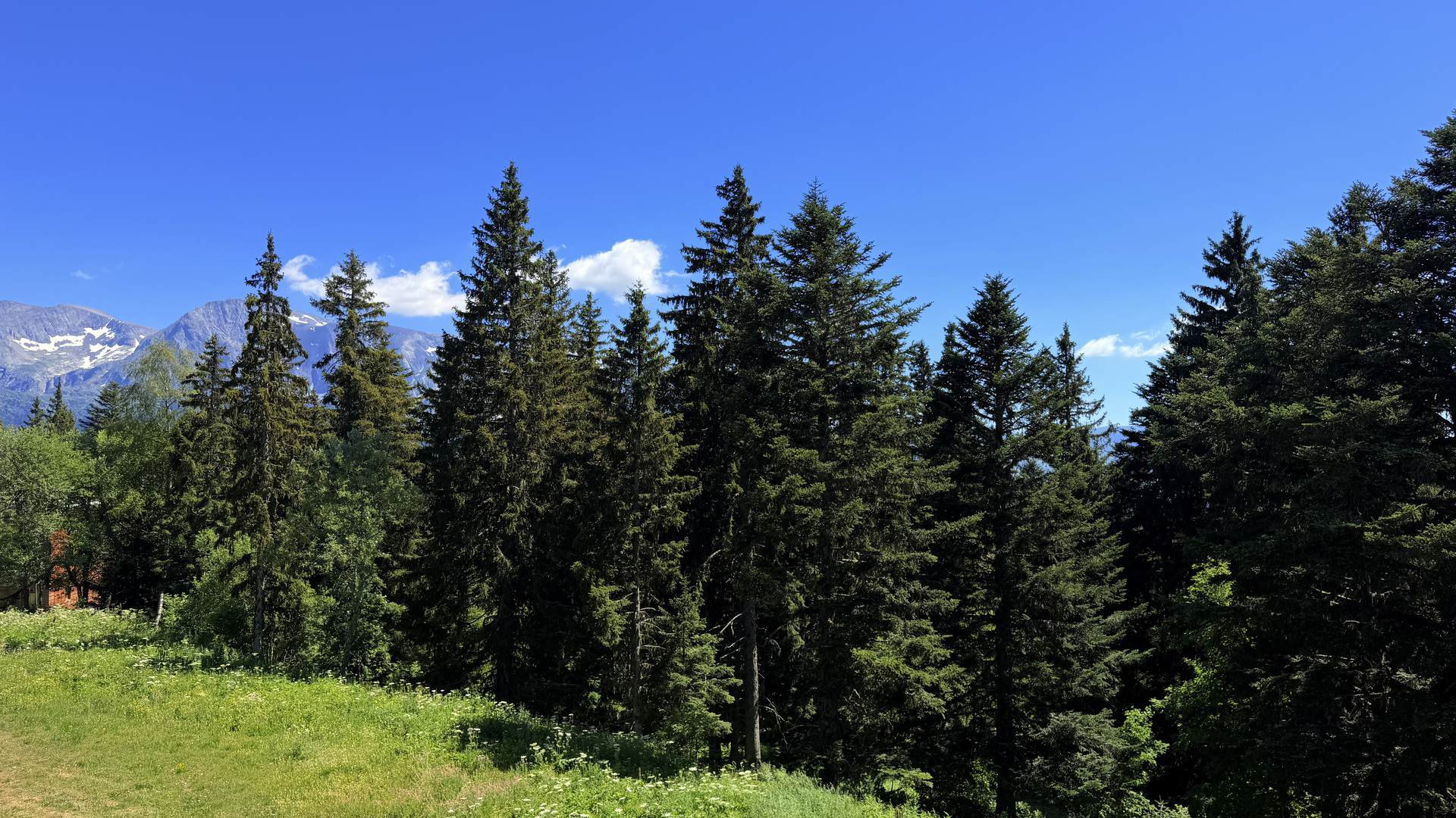 _lv_images__lot_0016190591_03_6409781 _lv_images__lot_0016190591_03_6409781