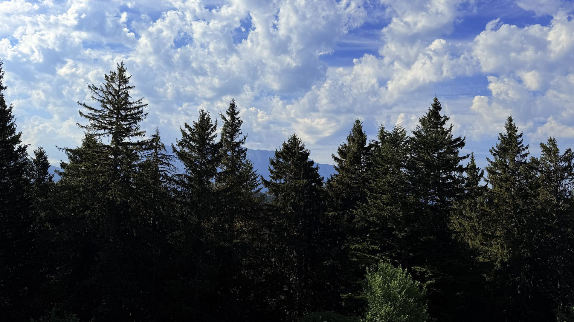 _lv_images__lot_0016190594_06_6406958