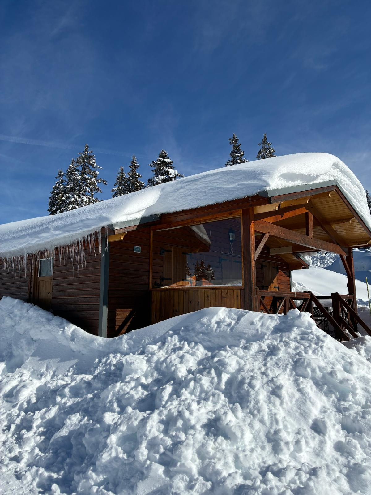 Extérieur chalet 3P6 chalet des cimes 3 Chamrousse