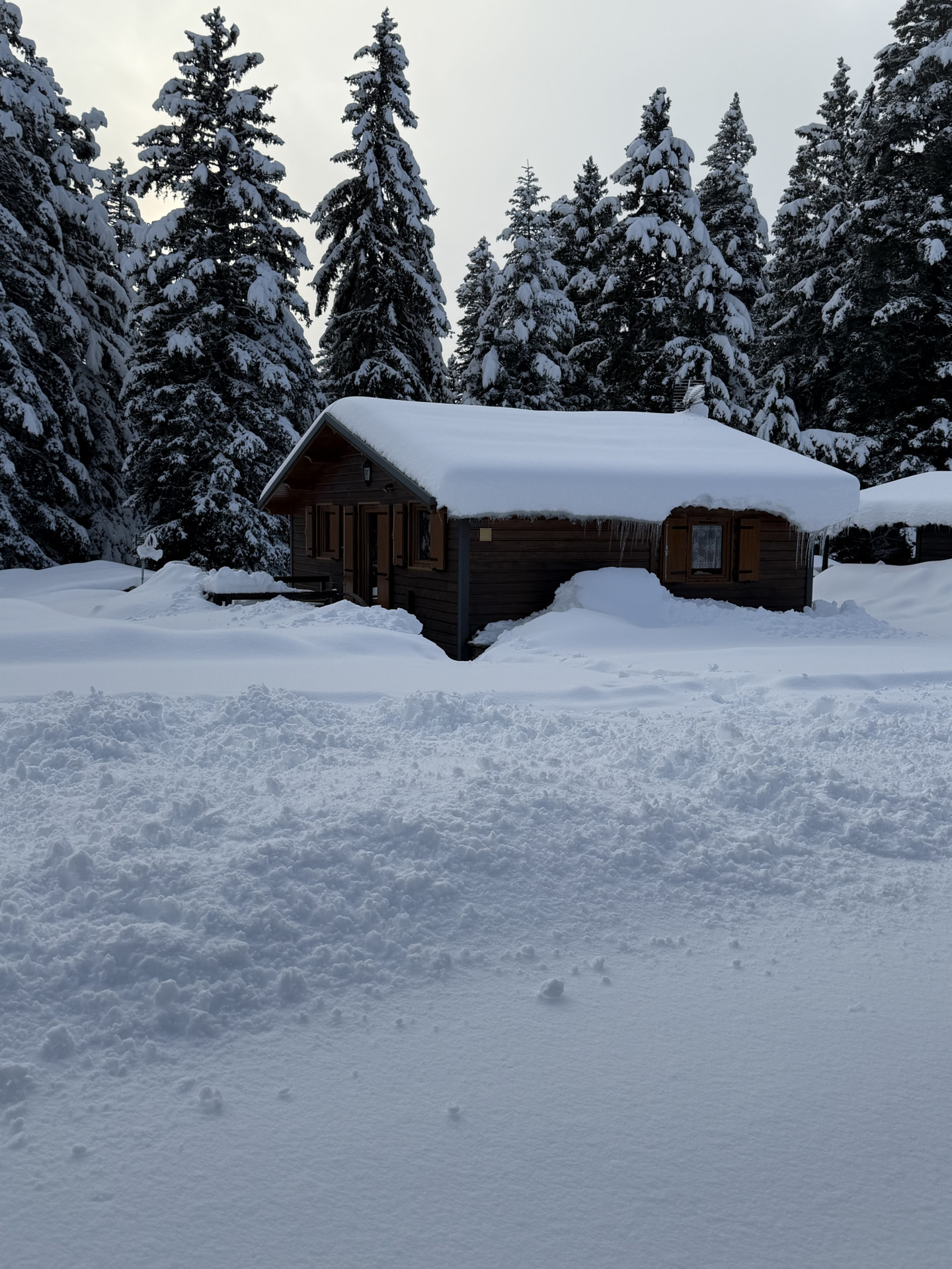 Extérieur chalet Le Chalet des Cimes 39 Chamrousse