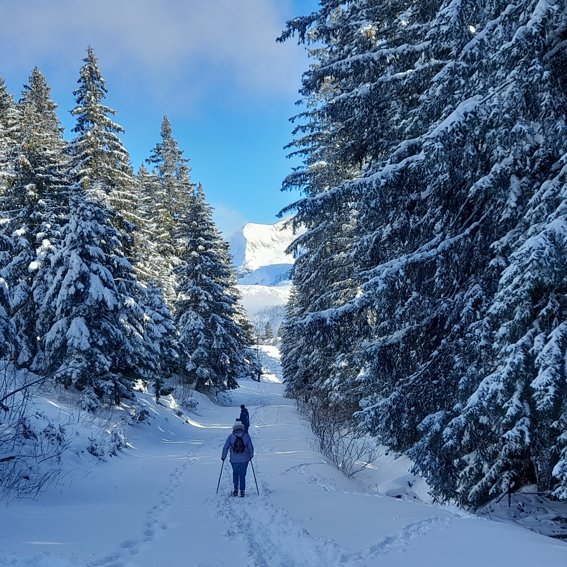 Extérieur raquettes chalet nounours Chamrousse Extérieur raquettes chalet nounours Chamrousse