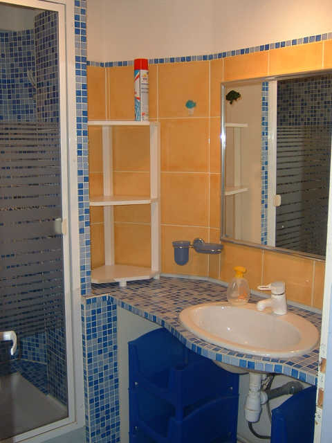 Intérieur salle de bain L'Olympic 1211 Chamrousse