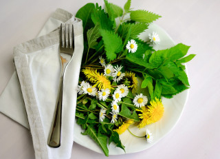 Cuisine aux plantes alpines - © Pixabay Cuisine aux plantes alpines