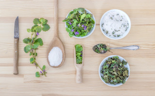 Cuisine aux plantes alpines - © Pixabay Cuisine aux plantes alpines