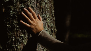 Bain de forêt_Chamrousse - © Matéo Sgambato Bain de forêt_Chamrousse