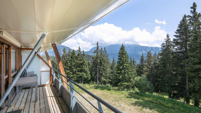 Lesvillagesdubachat-D31Silenes_10