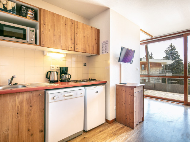 Lesvillagesdubachat-A15Joubarbes_04