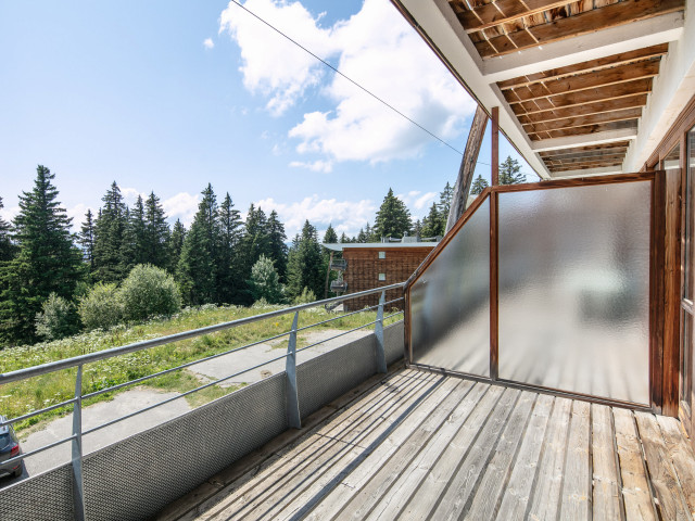 Lesvillagesdubachat-A15Joubarbes_10