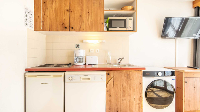 Chamrousse-AstersA04-05_0