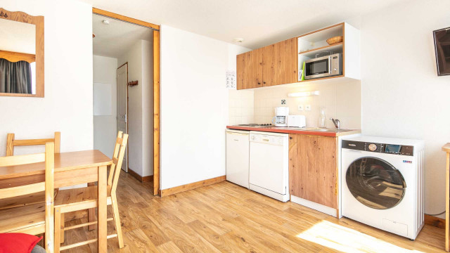 Chamrousse-AstersA04-07_0