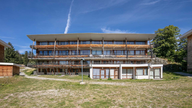 Chamrousse-AstersA04-10_0