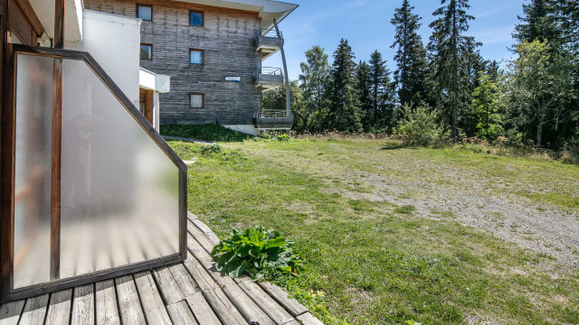 Chamrousse-AstersA04-09_0