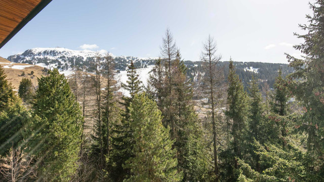 Hyppocampe20_Chamrousse_10_0