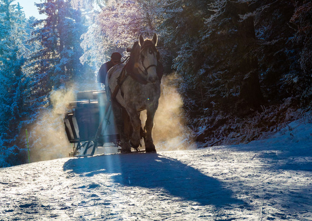 Chamrousse gourmet carriage ride