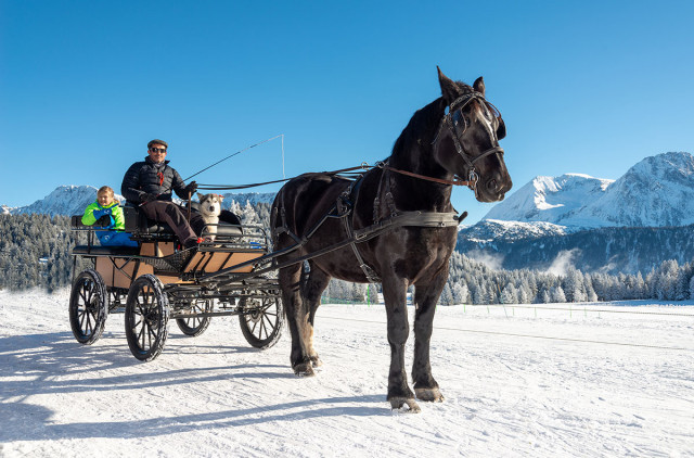 Chamrousse carriage ride
