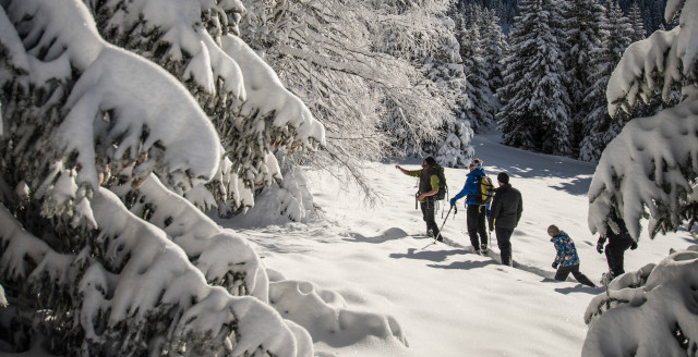 Snowshoeing guided