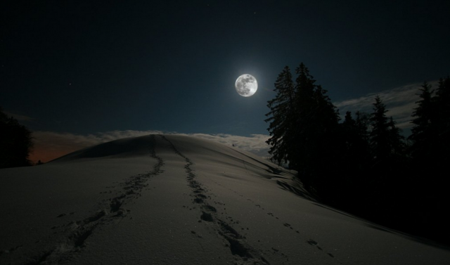 Snowshoeing at night