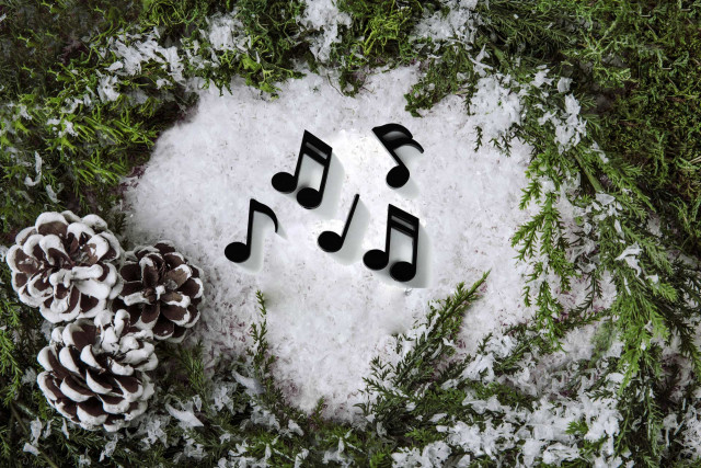 Chamrousse en zic' festival musique Chamrousse