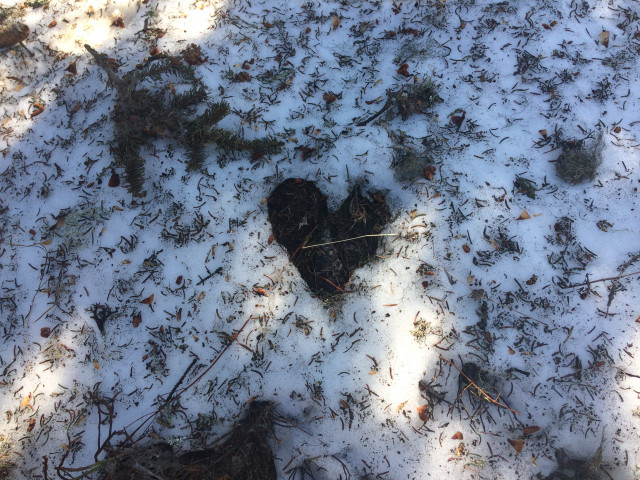 Environmental animation Environmental animation