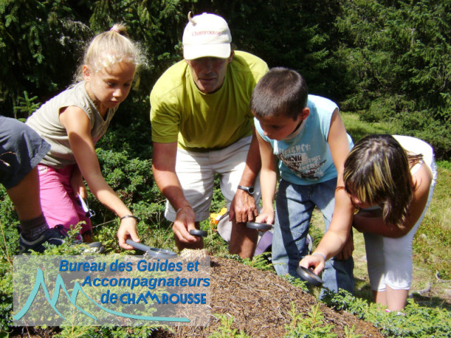 The magical world of the forest - © Bureau des Guides de Chamrousse The magical world of the forest